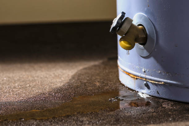 Best Sewage cleanup and water damage restoration  in Sachse, TX