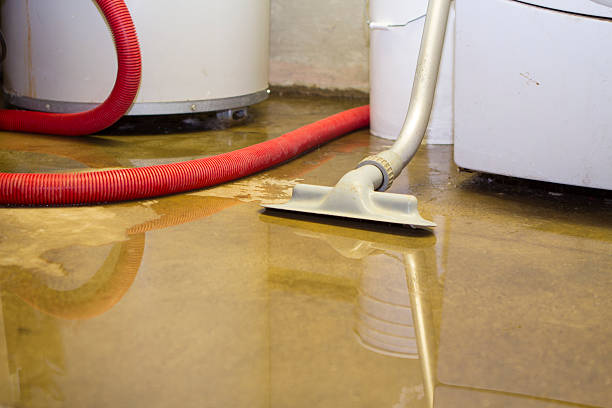 Best Emergency water damage restoration  in Sachse, TX