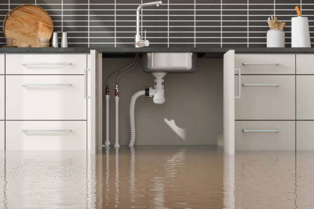 Best Professional water damage repair  in Sachse, TX